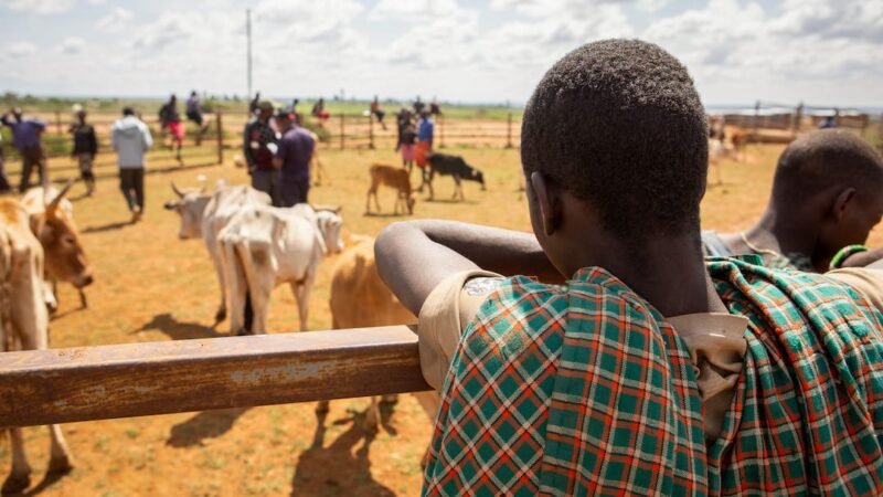 Is the Kenyan Boy Child Excluded in the Gender Equality Agenda?