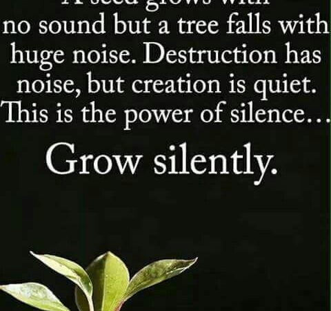 Silence; a Moment of Reflection.