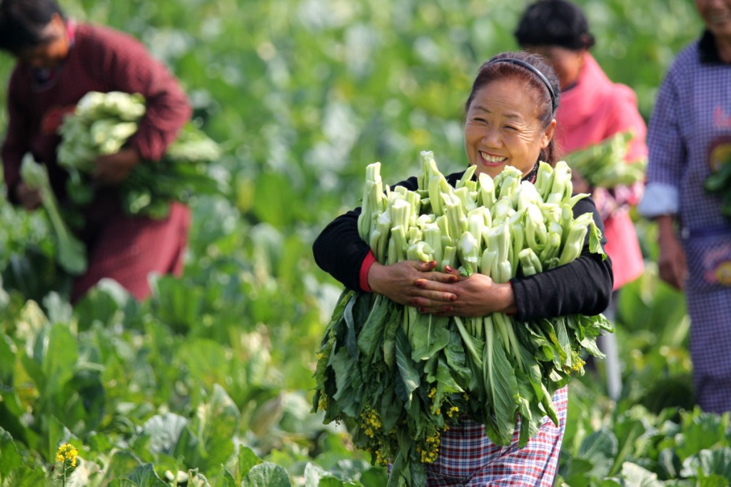 What Can we Learn from China in the Fight Against Poverty?