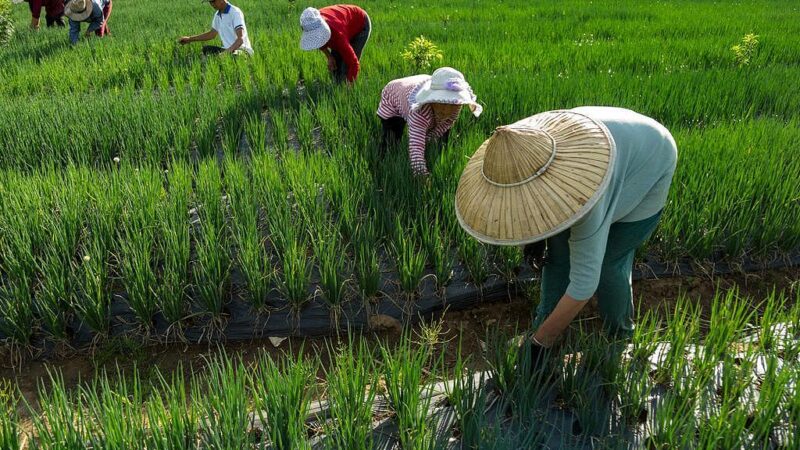 The Chinese War on Poverty in a Keener Detail.
