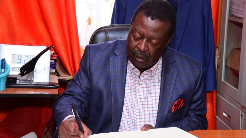 Is Mudavadi the Determinant Charm Maiden for 2022?