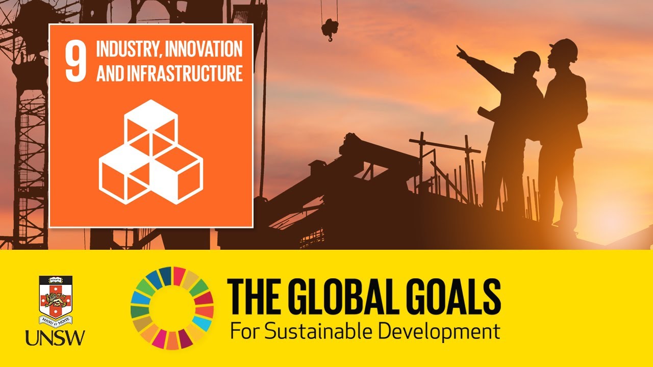 Evaluating the Progress on SDG Goal 9:Industry, Innovation and Infrastructure.