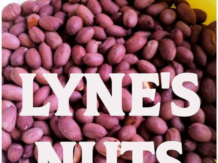 When Passion Roasts Better Than Strategy: Lessons from Lyne’s Nuts